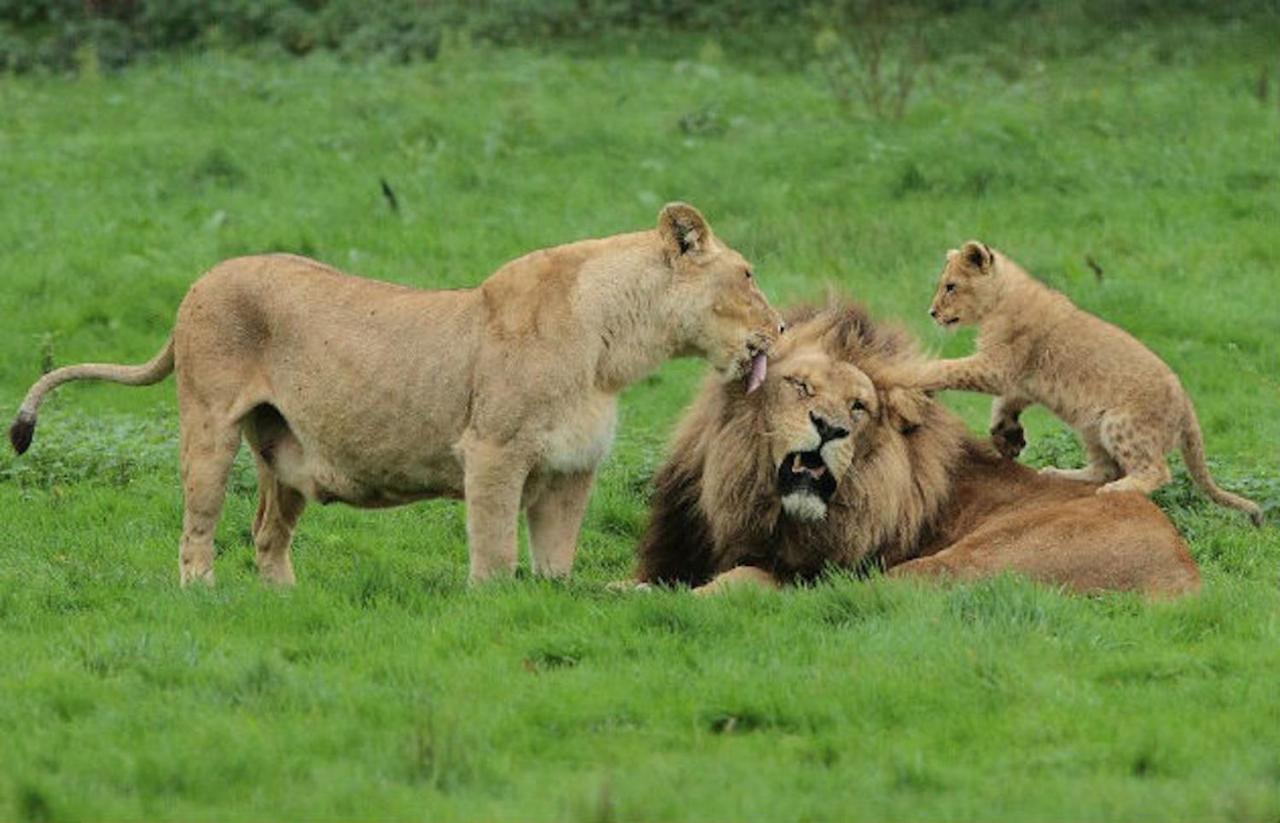 La Brie A 15Mn De Disneyland Et Village Nature Neufmoutiers-en-Brie Luaran gambar