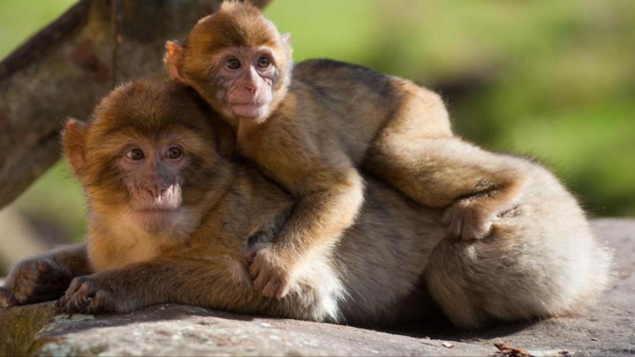 La Brie A 15Mn De Disneyland Et Village Nature Neufmoutiers-en-Brie Luaran gambar